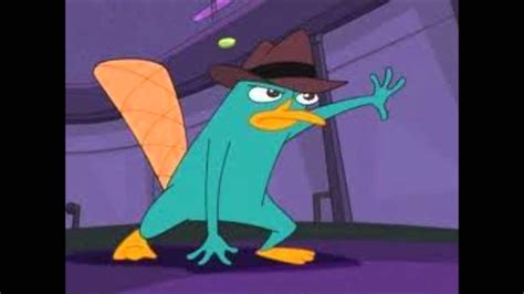 The Fans Speak: Why Perry the Platypus has Forever Captured Our Hearts